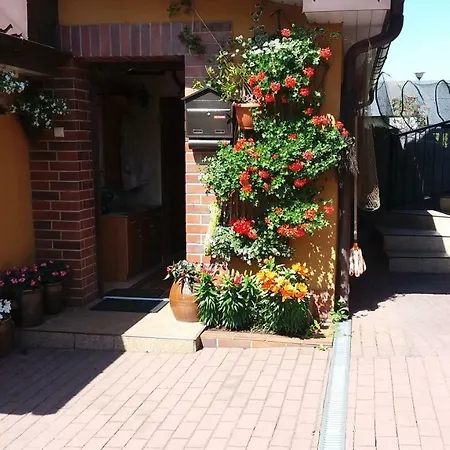 Goscinne Bemar ホームステイ *